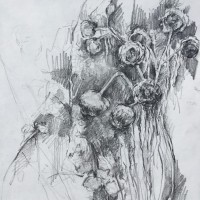 “Decaying artichokes “ (Sketchbook) Pencil on paper 28cm x 28cm NFS