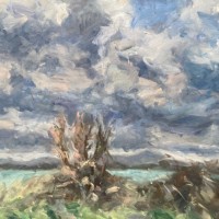 “Windswept hawthorn, Strangford Lough” Oil on canvas 60cm x 50cm x 4cm